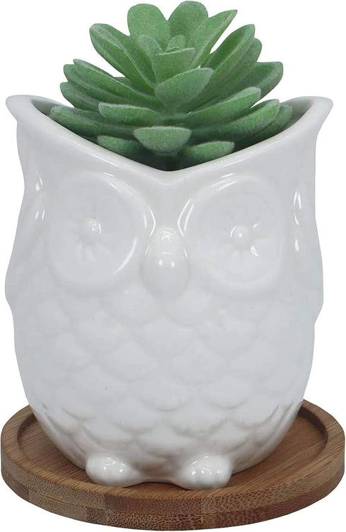 White Ceramic Owl Succulent Planter Pot with Drainage Tray, Cute Animal Cactus Flower Container Bonsai Holder for Air Plants by Gemseek