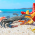 6 Inch RAYNAG Fake Plastic Blue Crab, Simulated Sea Animal Crab Figurine for Aquarium, Home Party Decor