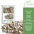 40+ Packet, Rainbow Bean Mix Sprouting Seeds, Adzuki, Garbanzo, Green Pea, & Lentil, Heirloom Seeds in Mixture Per Non