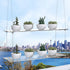 ZerzSemp 2-Tier 16" Acrylic Window Display Shelves Adjustable Clear Racks for Herbs, flowers and Indoor Greenery
