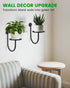 (3 Pack) Wall Planters for Indoor Plants, Mounted Holder Shelf, Metal Plant Wall Hanger, Decorative Plant Shelf