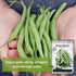 Packet (1) Sow Right Seeds - Blue Lake Bush Bean Seeds for Planting - Non-GMO Heirloom with Instructions to Plant an