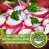 Packet (3) Sow Right Seeds - Champion Radish Seed for Planting - Non-GMO Heirloom with Instructions to Plant a Home