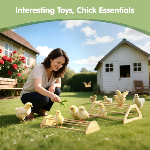 2 Pack 2 Pawaboo Chick Perch, Wooden Chicken Roosting Bars, Large & Small Sizes Chick Perches Toy for Coop and Brooder
