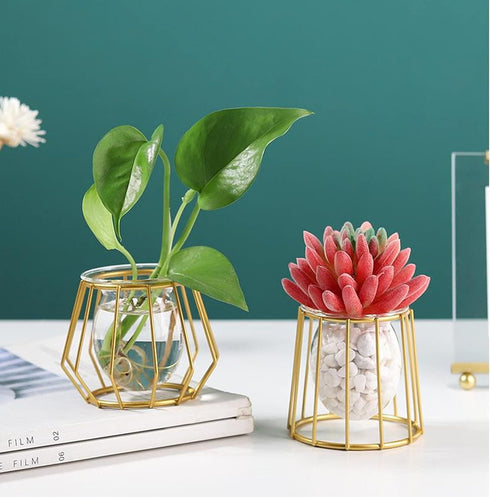 Nordic Small Clear Glass Vase, Metal Geometric Iron Line Cup Pot for Hydroponic Flowers, Modern Home Décor