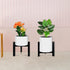 Sztbxuer 3Legs 5"-10" 1 Mini Adjustable Metal Plant Stand for Plant Pot Indoor & Outdoor (Black, Pcs)