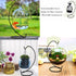 Constefire Stand,6 Ornament Display PCS Air Plants Holder, Planter Terrariums Hanger, Black Iron Wire Hanging Hook