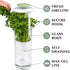 Goodful Herb Keeper Preserver, Designed for Optimum Breathable Airflow for Maximum Freshness, Water Line Ensures the
