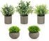 AUUGUU Artificial Potted Plants Faux Greenery in Cement Pots for Shelf, Bookshelf,