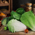 Set 5pcs Woration Green Artificial Vegetables Lifelike Lettuce Broccoli Cabbage PU Food Model Decoration for Home