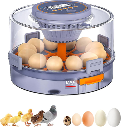 Somferic Incubators for Hatching Eggs, 12 Chicken Incubator with Automatic Egg Turning and
