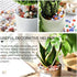 Hilitchi Flat Glass Marbles, Gemstones Glass Stones for Table Scatter, Vase Fillers, Event Weddings Birthday Christmas