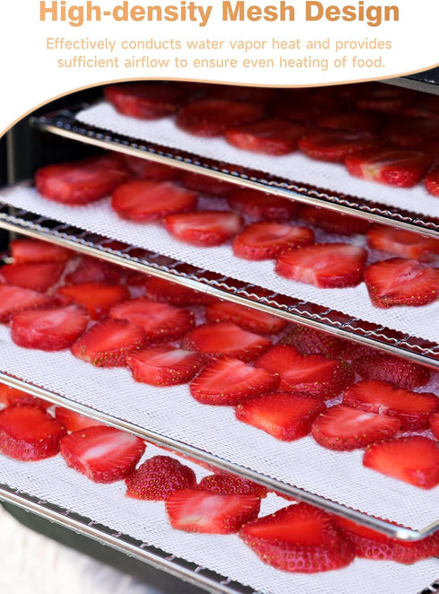 6 Pack Silicone Dehydrator Sheets, Premium Non-Stick Silicone Mesh Mat for Fruit Food Dehydrator (14 x 21 Inch)