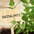 Whaline 60Pcs Wooden Plant Labels with Marker Pen, Decorative Garden Markers for Herbs
