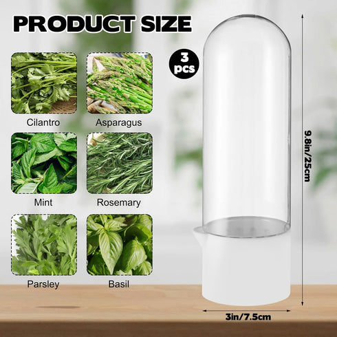 Sibosen 3 Pack 2-3 Herb Saver for Refrigerator Large Fresh Herb Keeper Cilantro Container for Refrigerator Vegetable
