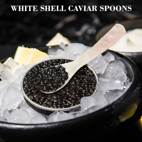 Mother of Pearl Caviar Spoons - 12 Pieces with Round Handle for Caviar, Egg, Ice Cream Serving