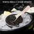 Mother of Pearl Caviar Spoons - 12 Pieces with Round Handle for Caviar, Egg, Ice Cream Serving