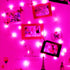 Ranlraka 20 Wine Bottle Lights with Cork Mini Fairy String Lights Battery Operated LED Pink Fairy Lights Party