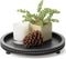 Bamboo Land- Round Decorative Trays for Coffee Table, 12", Black, Wood Tripod