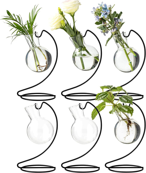 Desktop Glass Plant Propagation Station with Metal Stand,Tabletop Plant Terrarium,Hydroponics Vase for