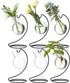 Desktop Glass Plant Propagation Station with Metal Stand,Tabletop Plant Terrarium,Hydroponics Vase for