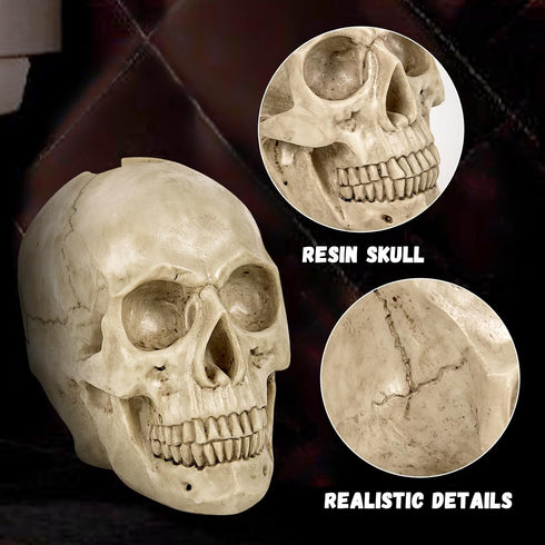 Set Set,Space Toilet Brush and Holder for Bathroom,Skullduggery Skeleton Gothic Bathroom Decor Toilet Bowl Brush Saving