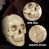 Set Set,Space Toilet Brush and Holder for Bathroom,Skullduggery Skeleton Gothic Bathroom Decor Toilet Bowl Brush Saving