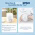 LEVOIT Top Fill Humidifiers for Bedroom, 2.5L Tank, Quiet Cool Mist Air Humidifier for Home, Auto Shut-off