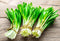 Wild Garlic Ramsons Buckrams Wild Onion 40 Non-GMO Seeds for Planting