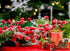 Feitore 6 Pack 17" Frosted Red Berry Stems, Long Artificial Snowy Christmas Berries Picks Winter Holly Berry Branches