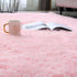 Room,5X8 Shag Area Rugs for Bedroom Living Ultra Soft Fluffy Area Rugs for Dorm, Indoor Carpet Nursery Rugs for Kids