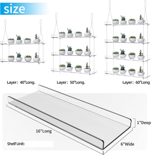 ZerzSemp 2-Tier 16" Acrylic Window Display Shelves Adjustable Clear Racks for Herbs, flowers and Indoor Greenery
