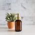 Rail19 Amber Glass Apothecary Foaming Soap Dispenser with Metal Pump, 8.5oz for Kitchen and Bathroom Countertop, Gold