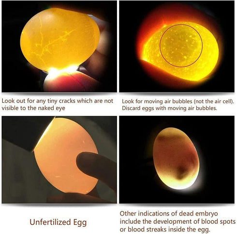 2026 Egg Candlers for Chicken Eggs, New Egg Candling Light Tester Lamp Egg Checker Incubator for All Chickens Ducks