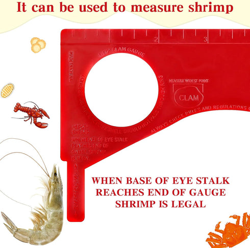4 Kathfly Pcs Dungeness Crab Gauge Measure Clam Measuring Tool for Multi Shrimps Lobster Shellfish, Red