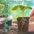 (50 Amyhill Hydroponic Sponges Grow Starter Pods Organic Growth Sponge Starter Plugs for Plant Cloning Growing Pcs)