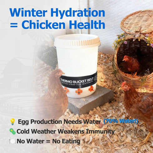 50 2-5 68F 86F) Chicken Water Heater for Winter, Watt Thermo Bucket Belt Heated Strap Fits Most Gal Buckets (Turn on