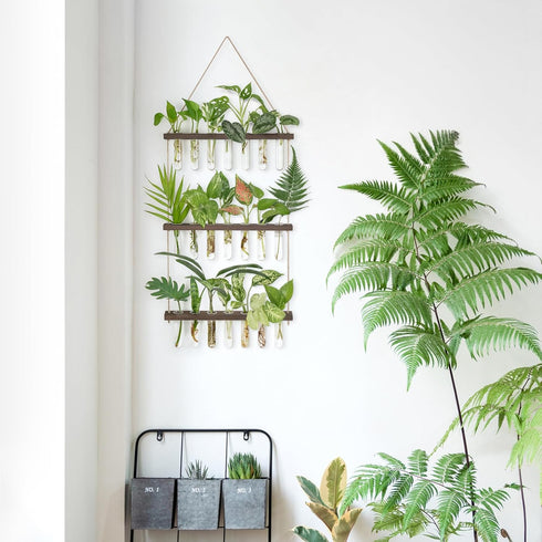 3 21 Mkono Plant Propagation Tubes, Tiered Wall Hanging Terrarium with Wooden Stand & Test Tube Vases for Hydroponic