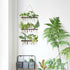 3 21 Mkono Plant Propagation Tubes, Tiered Wall Hanging Terrarium with Wooden Stand & Test Tube Vases for Hydroponic