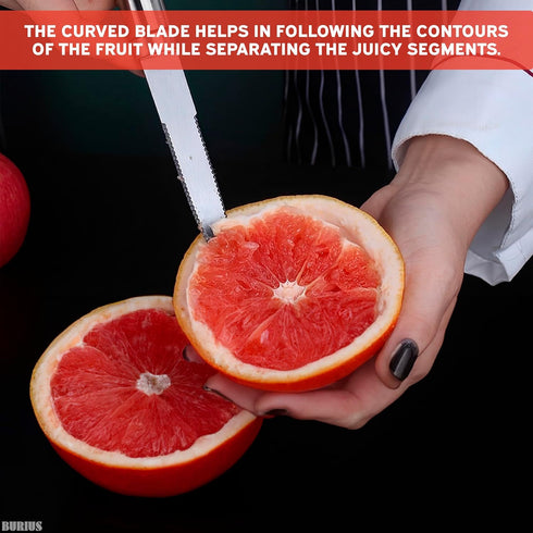 Grapefruit Knife with Curved Serrated Blade, Small Kitchen Cutter for Fruit Slicing, Stainless Steel Knife