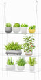 Lifewit 3-Tier Window Plant Shelves 15", Acrylic Adjustable Hanging Floating Shelf, Window