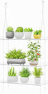 Lifewit 3-Tier Window Plant Shelves 15", Acrylic Adjustable Hanging Floating Shelf, Window