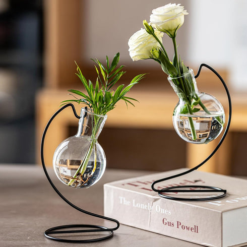 (6) Desktop Glass Plant Propagation Station with Metal Stand,Tabletop Plant Terrarium,Hydroponics Vase for Propagating