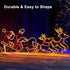 53Ft 160 echosari Rope Lights Outdoor Battery Operated, LED Rope String Lights Colors Changing with Remote Timer