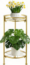 Decivems 2 Tier Metal Plant Stand, Sturdy Heavy Duty Adjustable Two Tier Flower