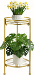 Decivems 2 Tier Metal Plant Stand, Sturdy Heavy Duty Adjustable Two Tier Flower
