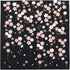 HAMAMONYO Furoshiki (20 in.) 'Weeping Cherry at Night'