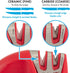 50883 Edge Grip 2-Stage Knife Sharpener - Red, Coarse & Fine Sharpeners, Compact, Non-Slip Base