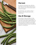 8 Burpee Kentucky Blue Pole Bean Seeds ounces of seed