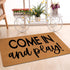 17.5" 29.5" Come in and Play Doormats Mini Playhouse Doormat Faux Coir Fiber Doormats Coir Doormat Welcome Coir Door